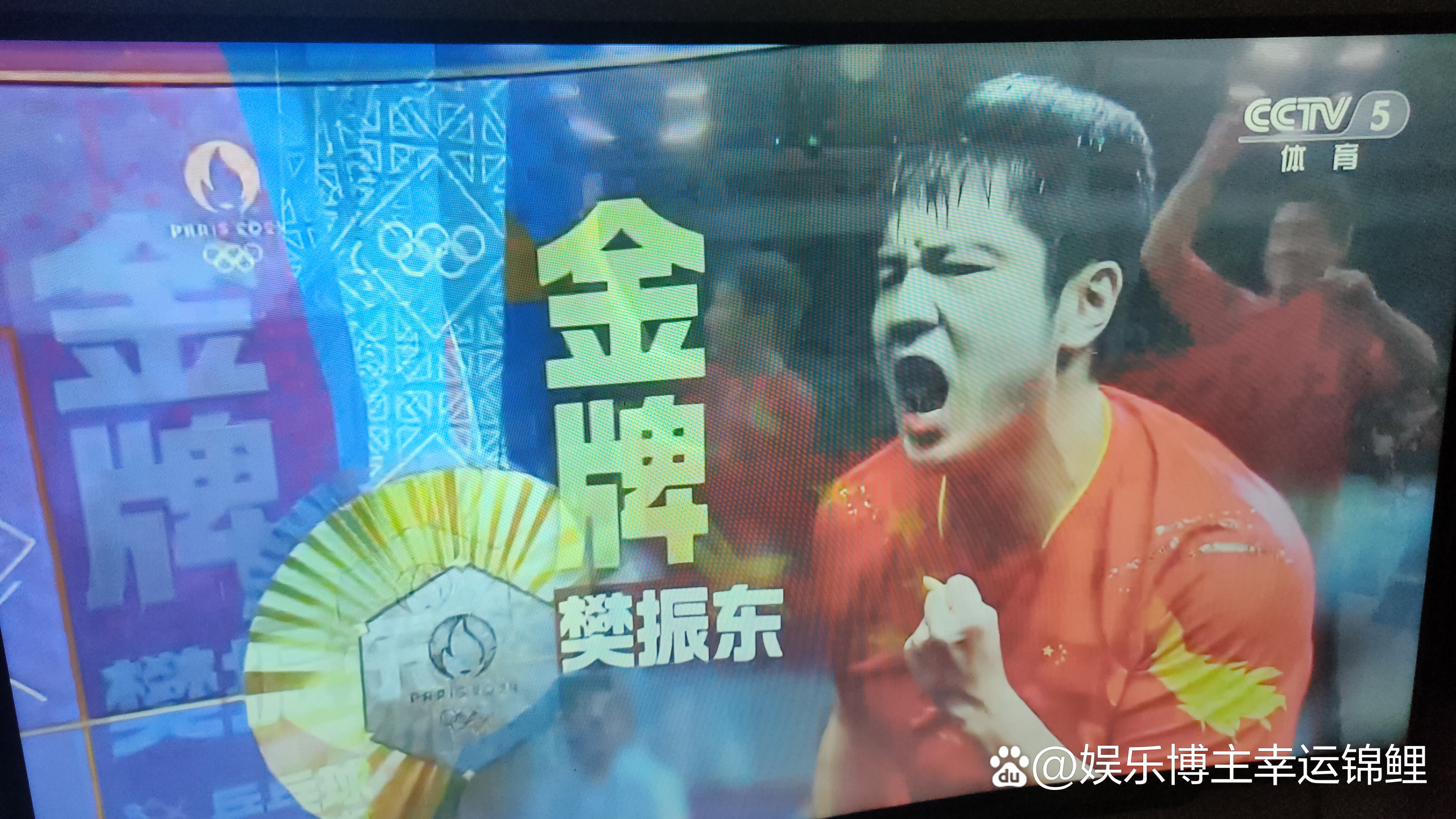 日本队翻盘瑞典队，樊振东统治全场