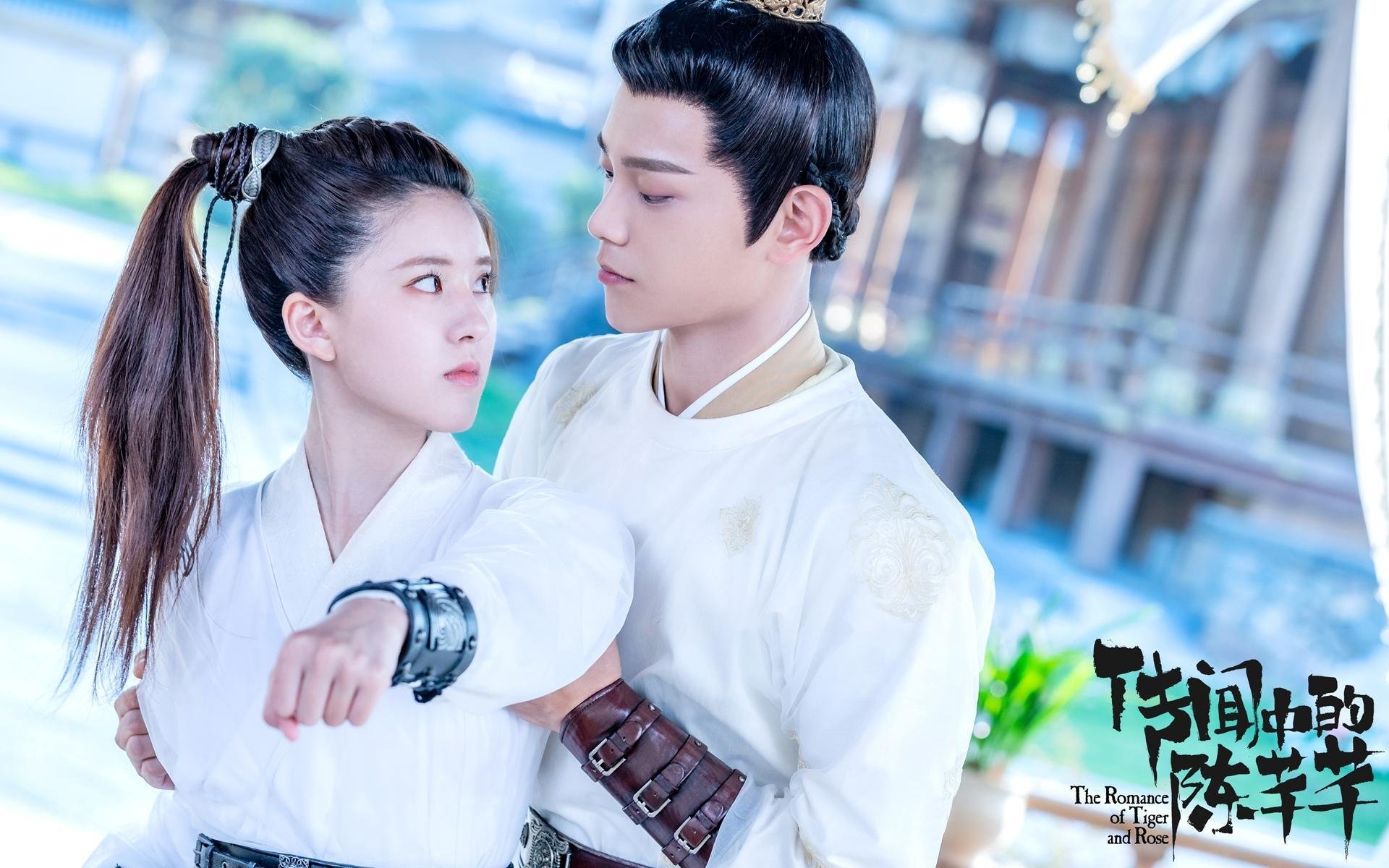 风暴眼,基辅的巷战与安联球场的弧线,人类在什么战场上证明自己?