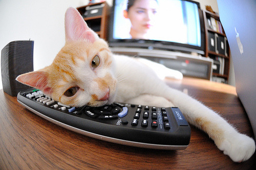 他一人改写整个赛季!年度焦点之战,小贾伦如何击碎不败金身,掀起团队风暴?