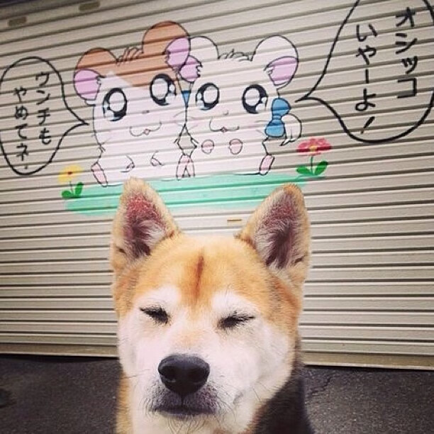 跨越时空的逆转,新疆顽强翻盘,拉文末节23分锁定年度之战