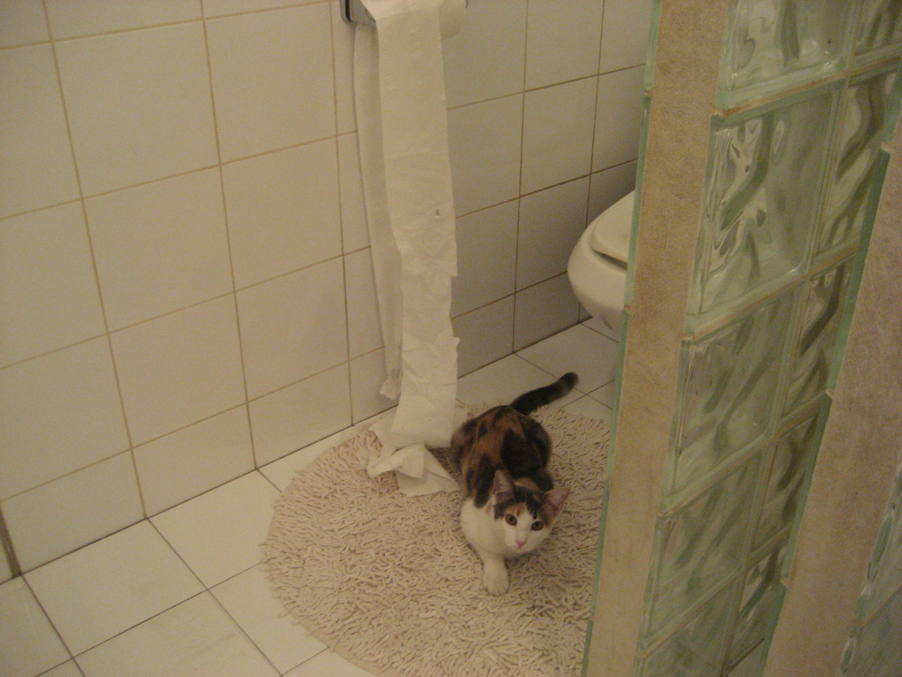 当节拍器成为唯一主宰，若日尼奥的压制艺术与奥地利的节奏革命