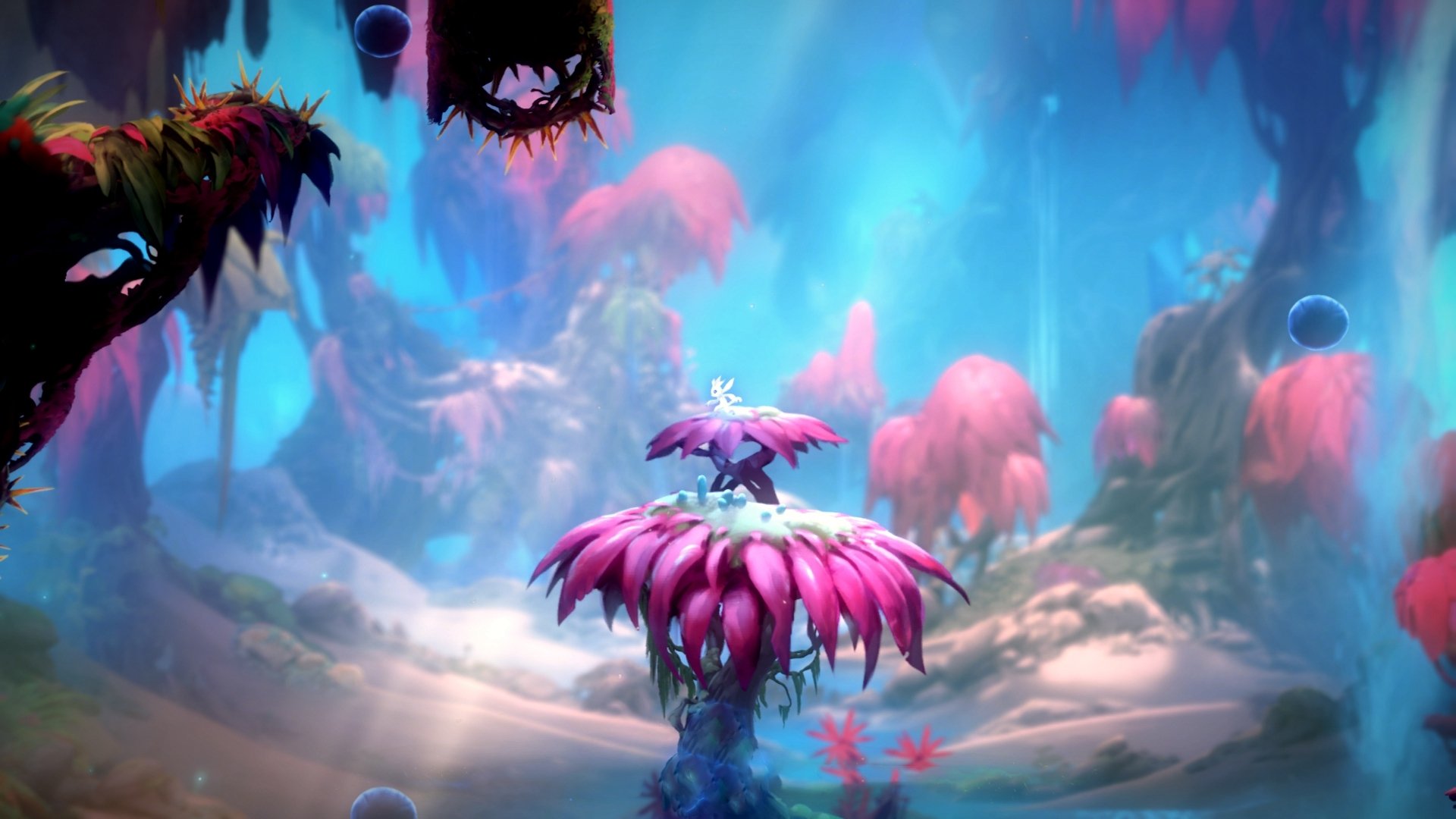 大桥横贯东西，当布鲁克林风暴席卷深圳海岸