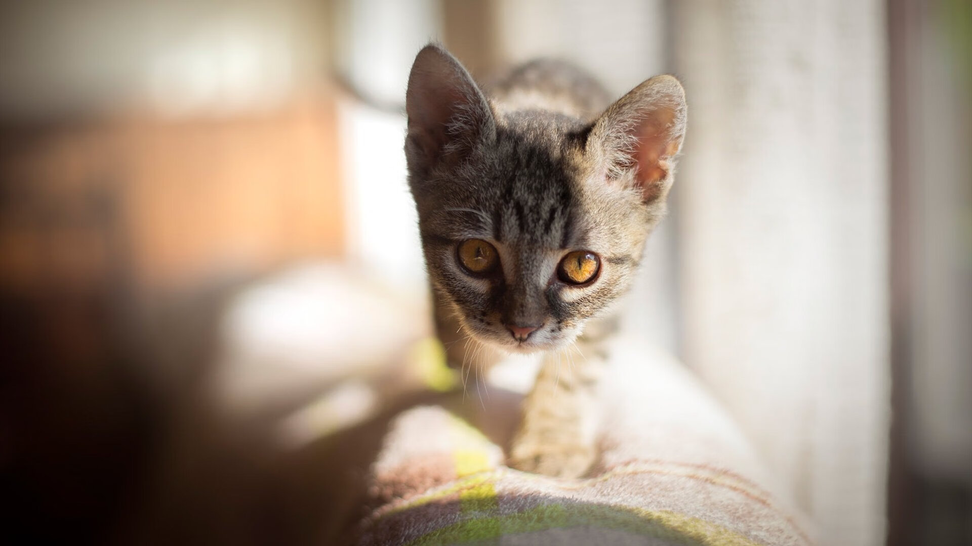 罗马之矛刺穿蓝黑，萨拉赫的完美演出与摩纳哥的遗憾