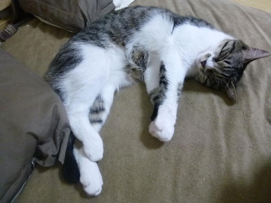 F1街道赛之夜，本泽马将赛道化为绿茵场，一脚刹车主宰胜负走向