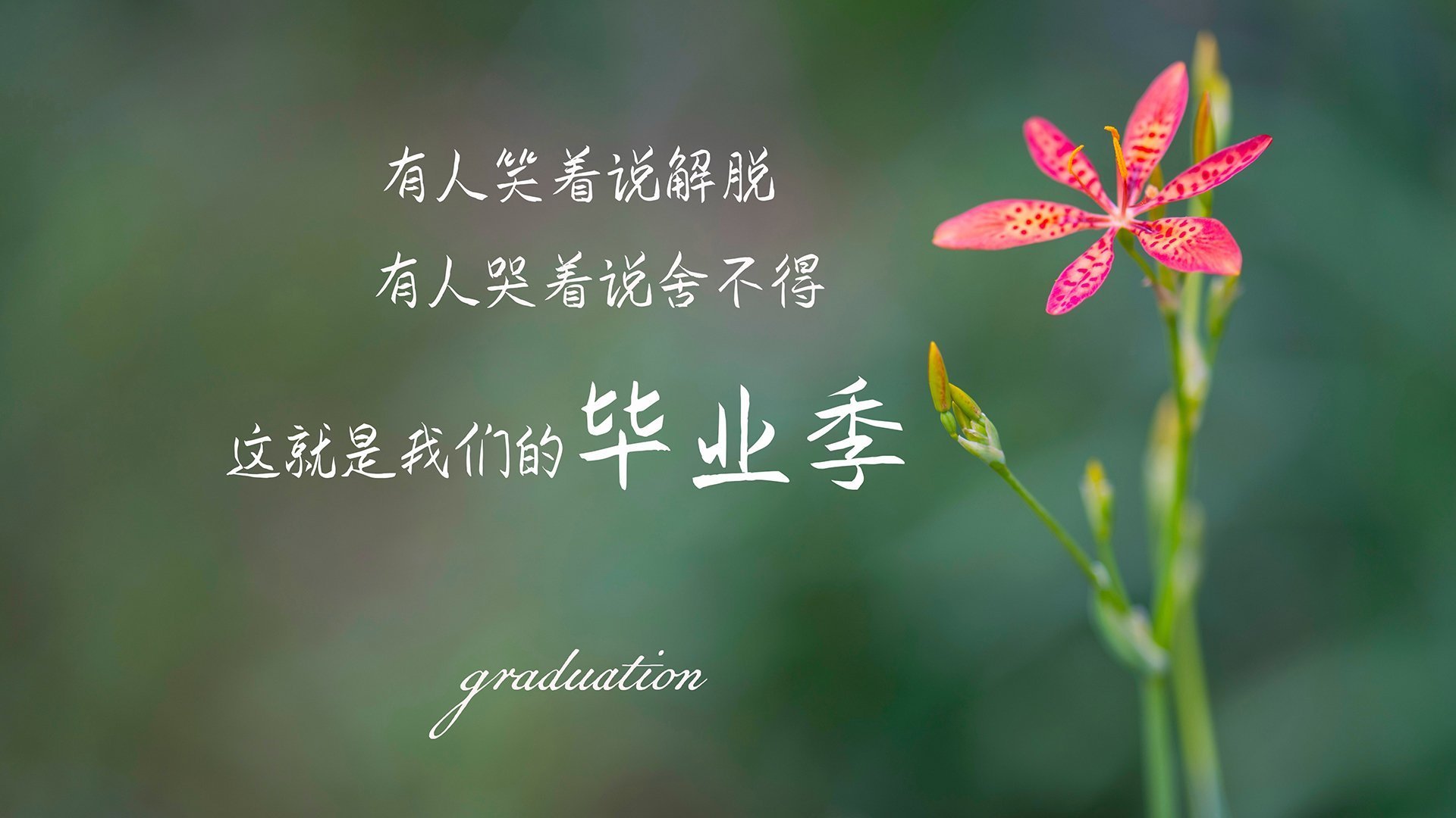 命运翻转,2026世界杯F组生死战,乌拉圭钢铁防线压制智利,拉什福德一击定乾坤